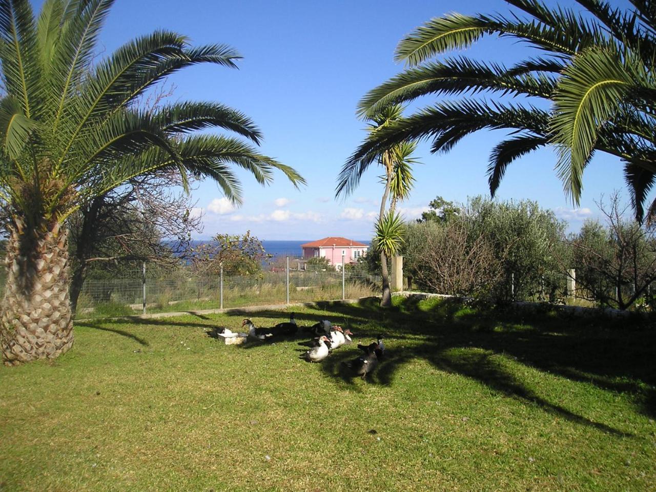 Nikolaos Studios Skala Skala  Eksteriør bilde